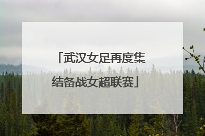 武汉女足再度集结备战女超联赛