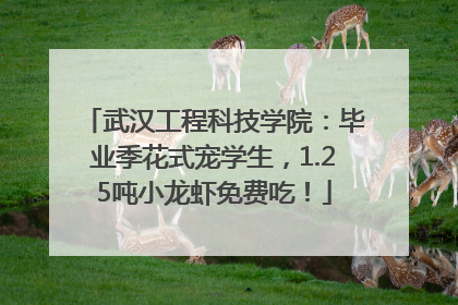 武汉工程科技学院：毕业季花式宠学生，1.25吨小龙虾免费吃！