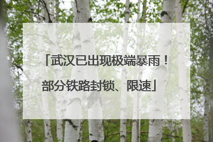 武汉已出现极端暴雨！部分铁路封锁、限速