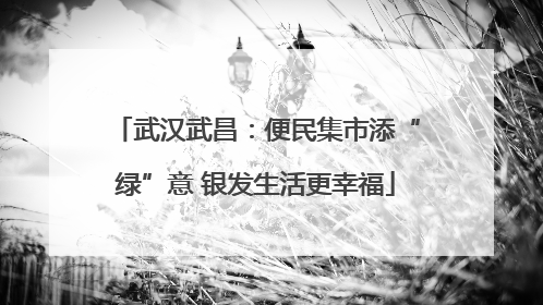 武汉武昌：便民集市添“绿”意 银发生活更幸福