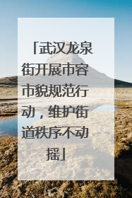 武汉龙泉街开展市容市貌规范行动，维护街道秩序不动摇