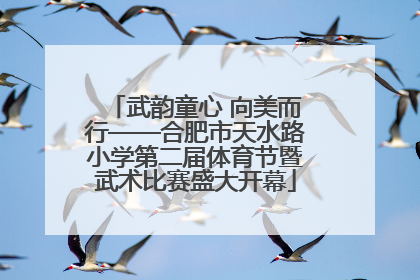武韵童心 向美而行——合肥市天水路小学第二届体育节暨武术比赛盛大开幕
