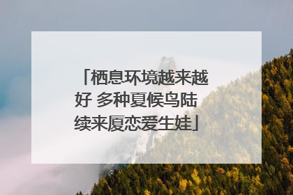 栖息环境越来越好 多种夏候鸟陆续来厦恋爱生娃