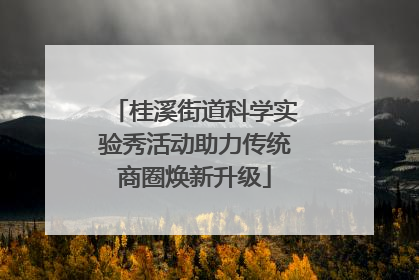 桂溪街道科学实验秀活动助力传统商圈焕新升级