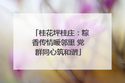 桂花坪桂庄：粽香传情暖邻里 党群同心筑和谐