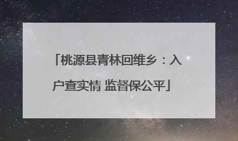 桃源县青林回维乡：入户查实情 监督保公平