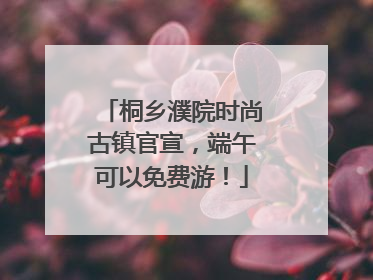 桐乡濮院时尚古镇官宣，端午可以免费游！