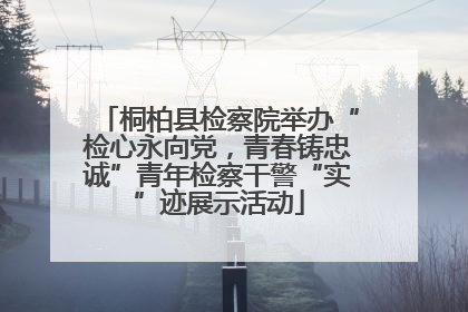桐柏县检察院举办“检心永向党，青春铸忠诚”青年检察干警“实”迹展示活动