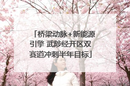 桥梁动脉+新能源引擎 武陟经开区双赛道冲刺半年目标