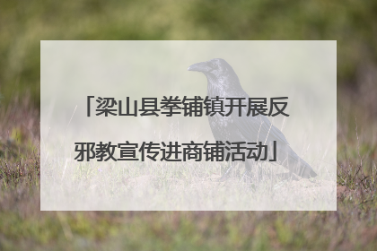 梁山县拳铺镇开展反邪教宣传进商铺活动