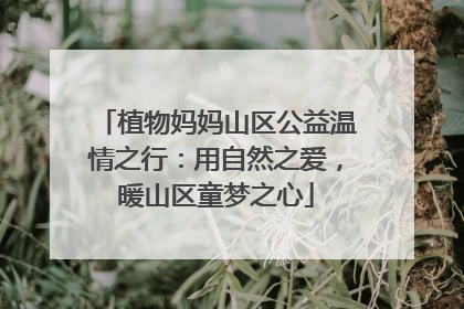 植物妈妈山区公益温情之行：用自然之爱，暖山区童梦之心