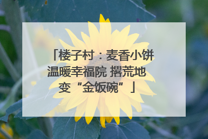 楼子村：麦香小饼温暖幸福院 撂荒地变“金饭碗”
