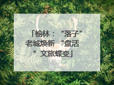 榆林：“落子”老城焕新 “盘活”文旅蝶变