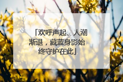 欢呼声起、人潮渐退，藏蓝身影始终守护在此