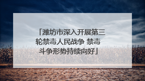 潍坊市深入开展第三轮禁毒人民战争 禁毒斗争形势持续向好
