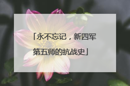 永不忘记，新四军第五师的抗战史