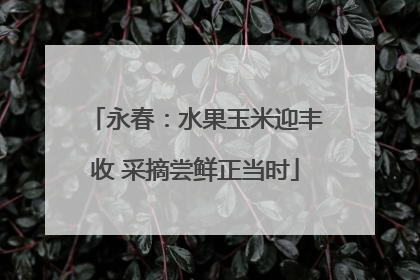 永春：水果玉米迎丰收 采摘尝鲜正当时