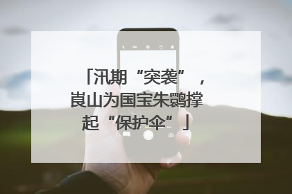 汛期“突袭”，崀山为国宝朱鹮撑起“保护伞”