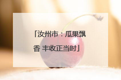 汝州市：瓜果飘香 丰收正当时