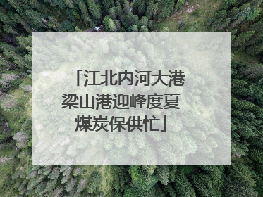 江北内河大港梁山港迎峰度夏煤炭保供忙