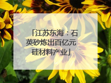 江苏东海：石英砂炼出百亿元硅材料产业