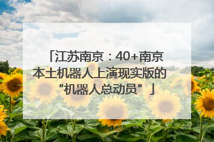 江苏南京：40+南京本土机器人上演现实版的“机器人总动员”