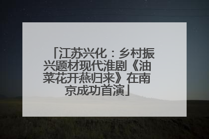 江苏兴化：乡村振兴题材现代淮剧《油菜花开燕归来》在南京成功首演