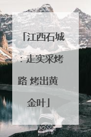 江西石城：走实采烤路 烤出黄金叶