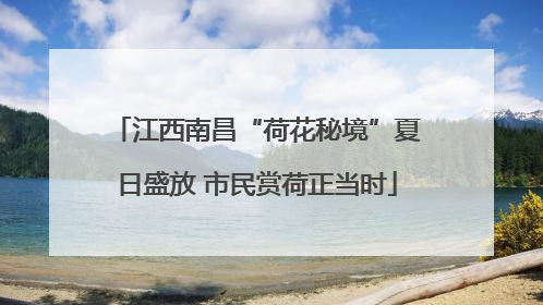 江西南昌“荷花秘境”夏日盛放 市民赏荷正当时