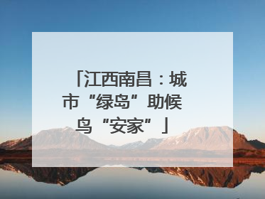 江西南昌：城市“绿岛”助候鸟“安家”