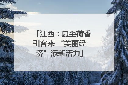 江西：夏至荷香引客来 “美丽经济”添新活力