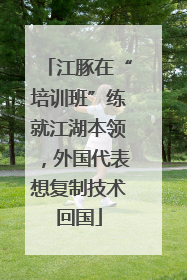 江豚在“培训班”练就江湖本领，外国代表想复制技术回国