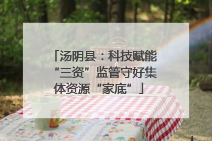 汤阴县：科技赋能“三资”监管守好集体资源“家底”