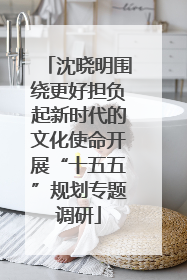 沈晓明围绕更好担负起新时代的文化使命开展“十五五”规划专题调研