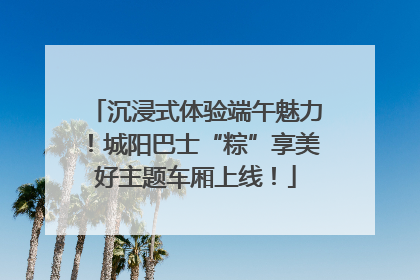 沉浸式体验端午魅力！城阳巴士“粽”享美好主题车厢上线！