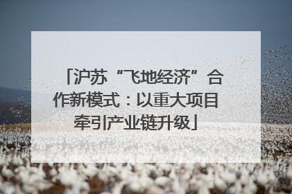 沪苏“飞地经济”合作新模式：以重大项目牵引产业链升级