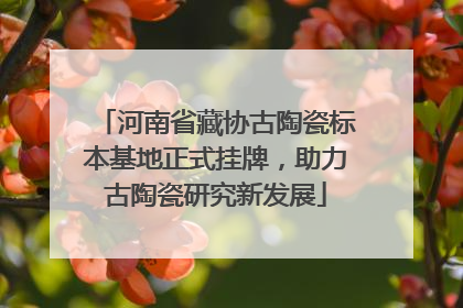 河南省藏协古陶瓷标本基地正式挂牌，助力古陶瓷研究新发展
