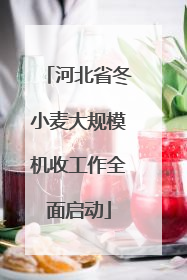 河北省冬小麦大规模机收工作全面启动