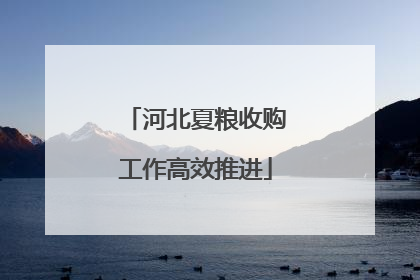 河北夏粮收购工作高效推进