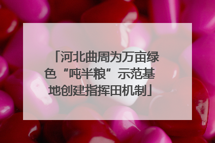 河北曲周为万亩绿色“吨半粮”示范基地创建指挥田机制