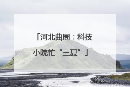 河北曲周：科技小院忙“三夏”