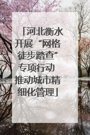 河北衡水开展“网格徒步踏查”专项行动 推动城市精细化管理