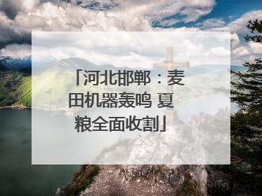 河北邯郸：麦田机器轰鸣 夏粮全面收割