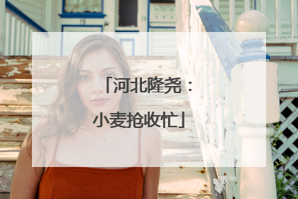 河北隆尧：小麦抢收忙
