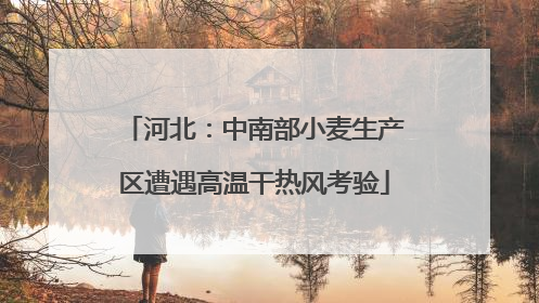 河北：中南部小麦生产区遭遇高温干热风考验