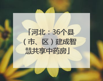 河北：36个县（市、区）建成智慧共享中药房