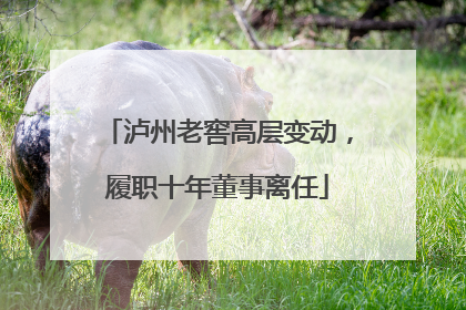 泸州老窖高层变动，履职十年董事离任