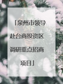 泉州市领导赴台商投资区调研重点招商项目