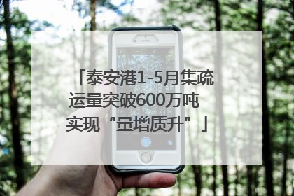 泰安港1-5月集疏运量突破600万吨 实现“量增质升”
