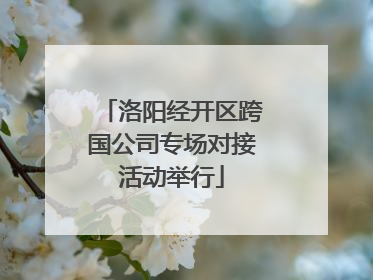洛阳经开区跨国公司专场对接活动举行